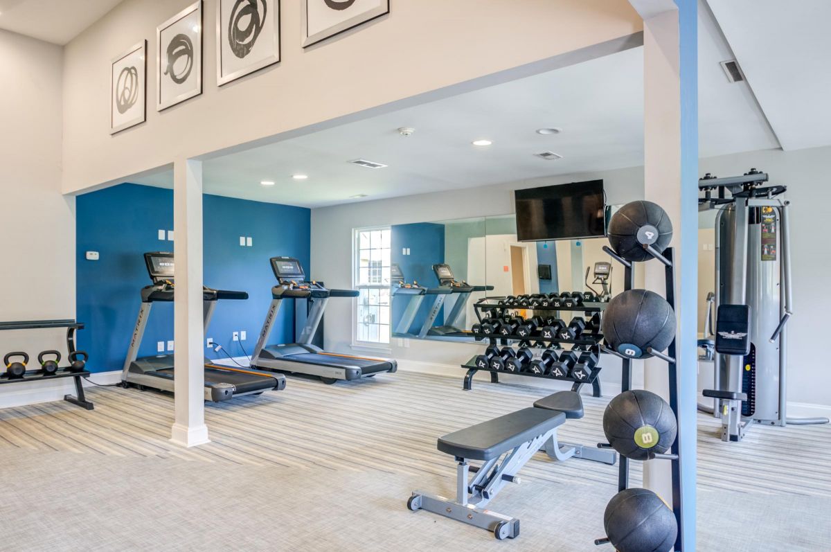 Modern gym with treadmills, weights, exercise balls, bench, and mirrors in a bright, spacious room.