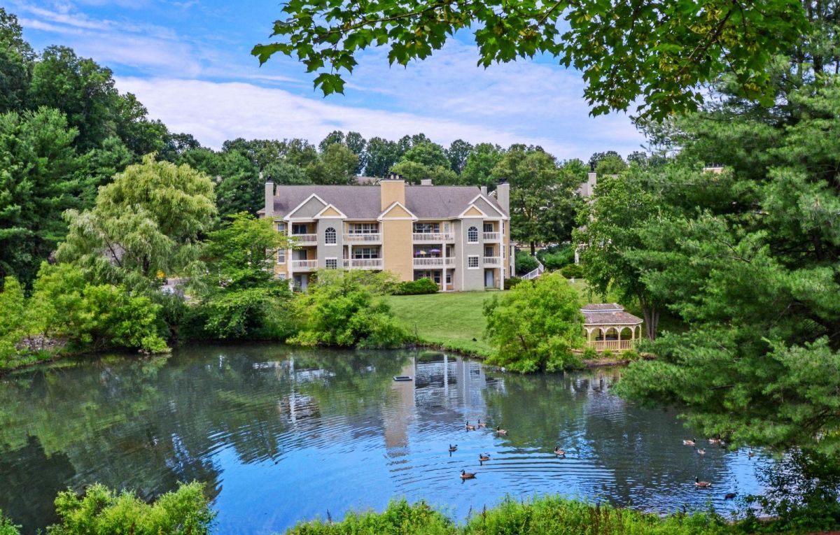 Apartment building by a pond with ducks, surrounded by trees and greenery under a blue sky.