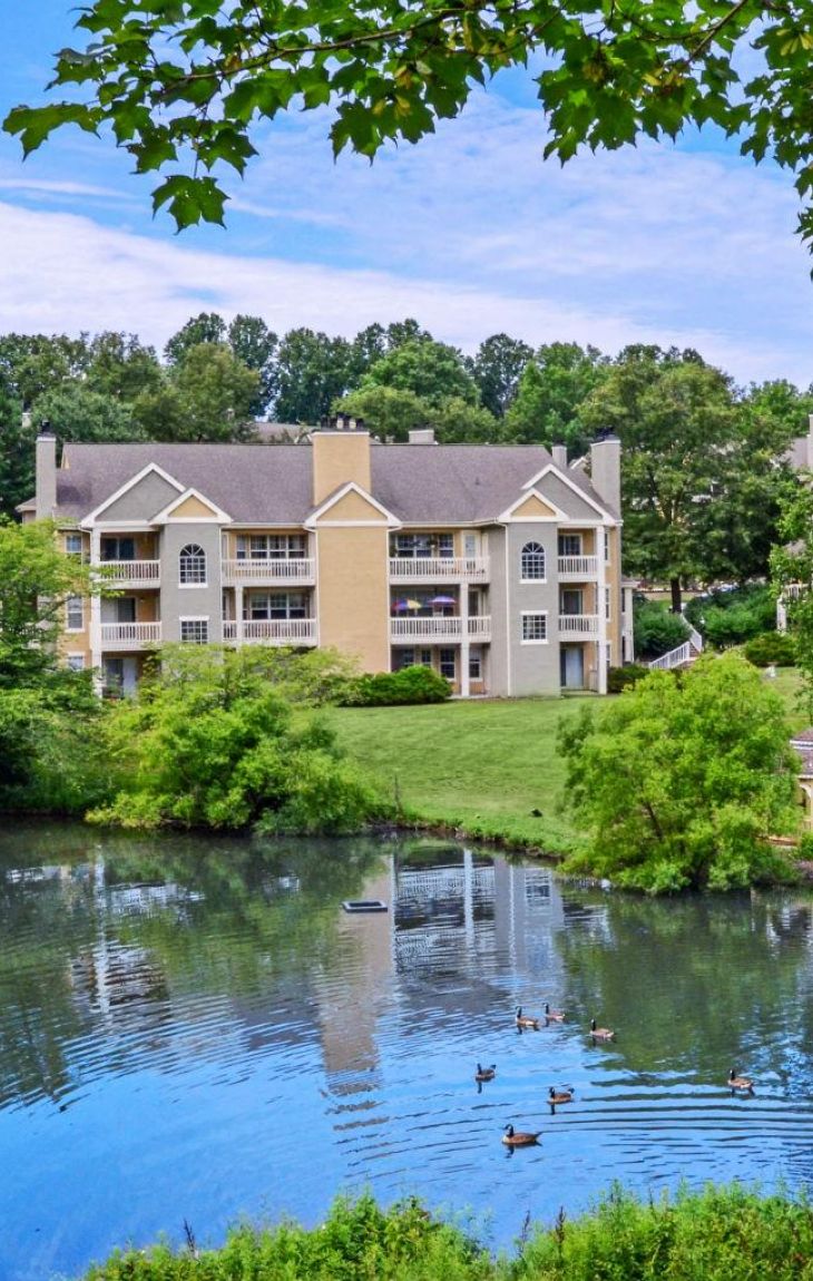 Apartment building by a pond with ducks, surrounded by trees and greenery under a blue sky.