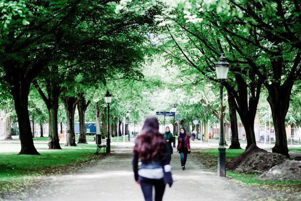 A woman walks down a tree-lined path in a park, with two people approaching in the distance.