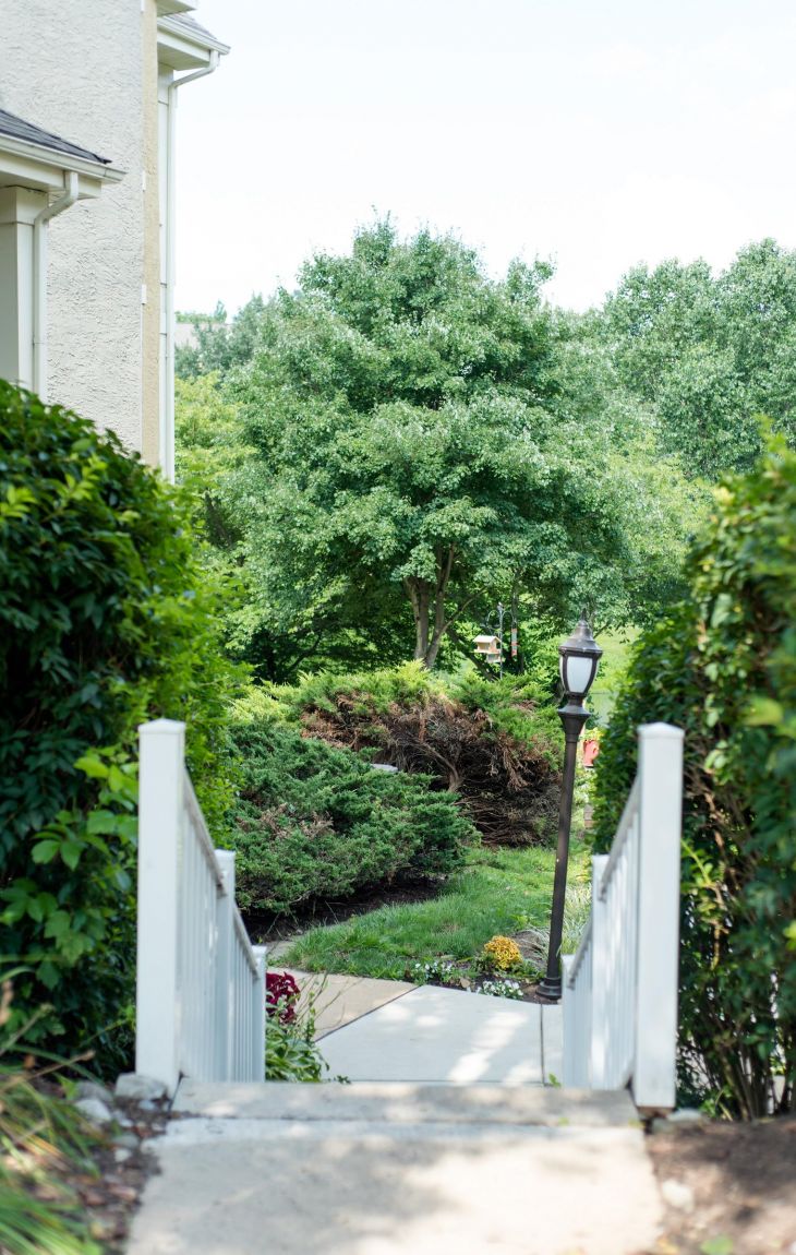 Concrete walkway with white railings leads to a yard with green trees, bushes, and a black lamp post.