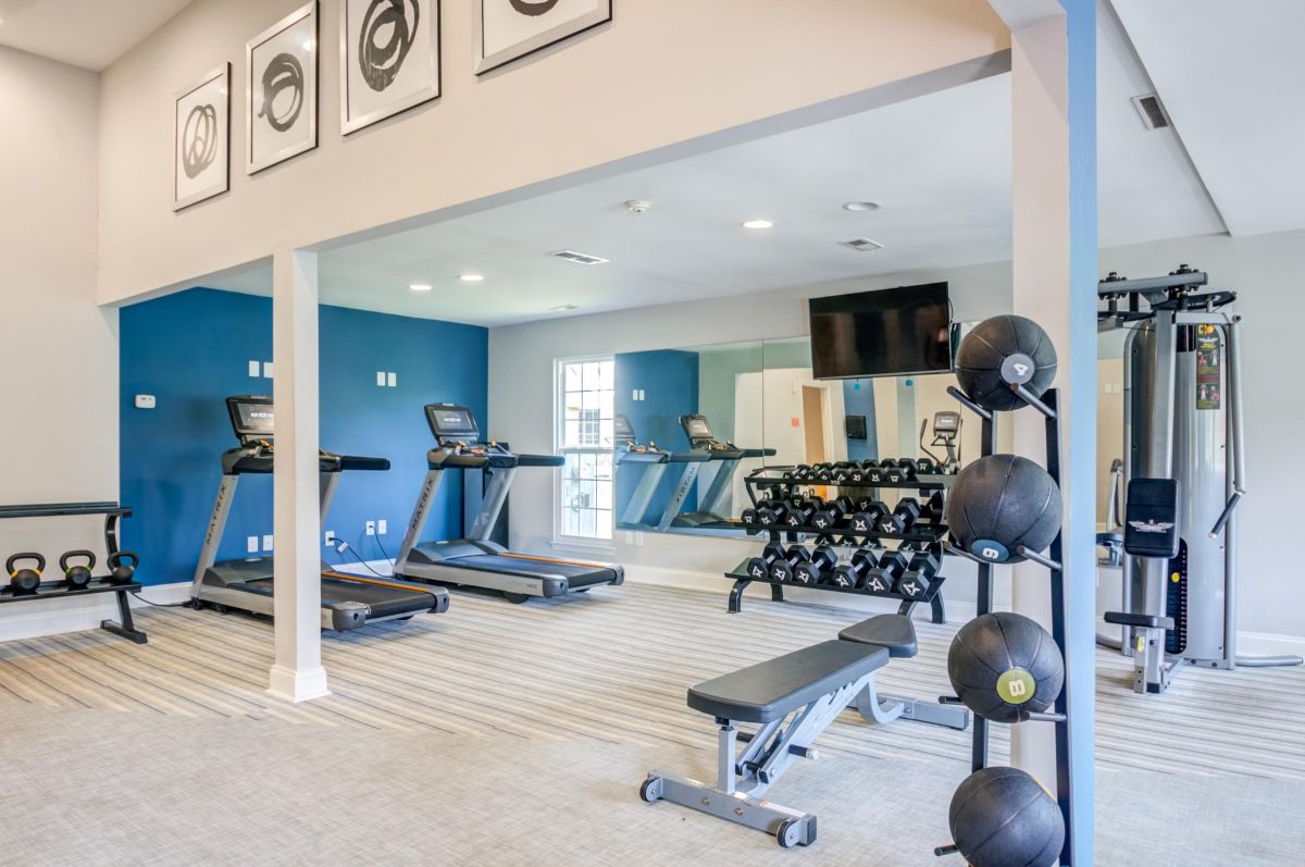 Modern gym with treadmills, weights, exercise balls, bench, and mirrors in a bright, spacious room.