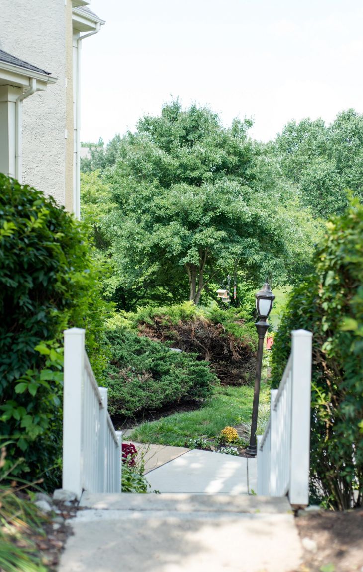 Concrete walkway with white railings leads to a yard with green trees, bushes, and a black lamp post.